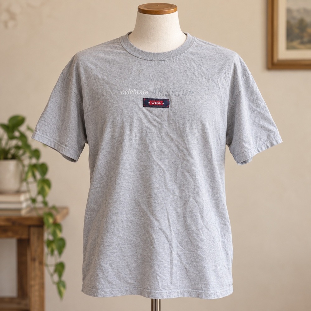 Vintage 2001 USA Celebrate America Graphic T-Shirt Gray Adult Large L 50/50